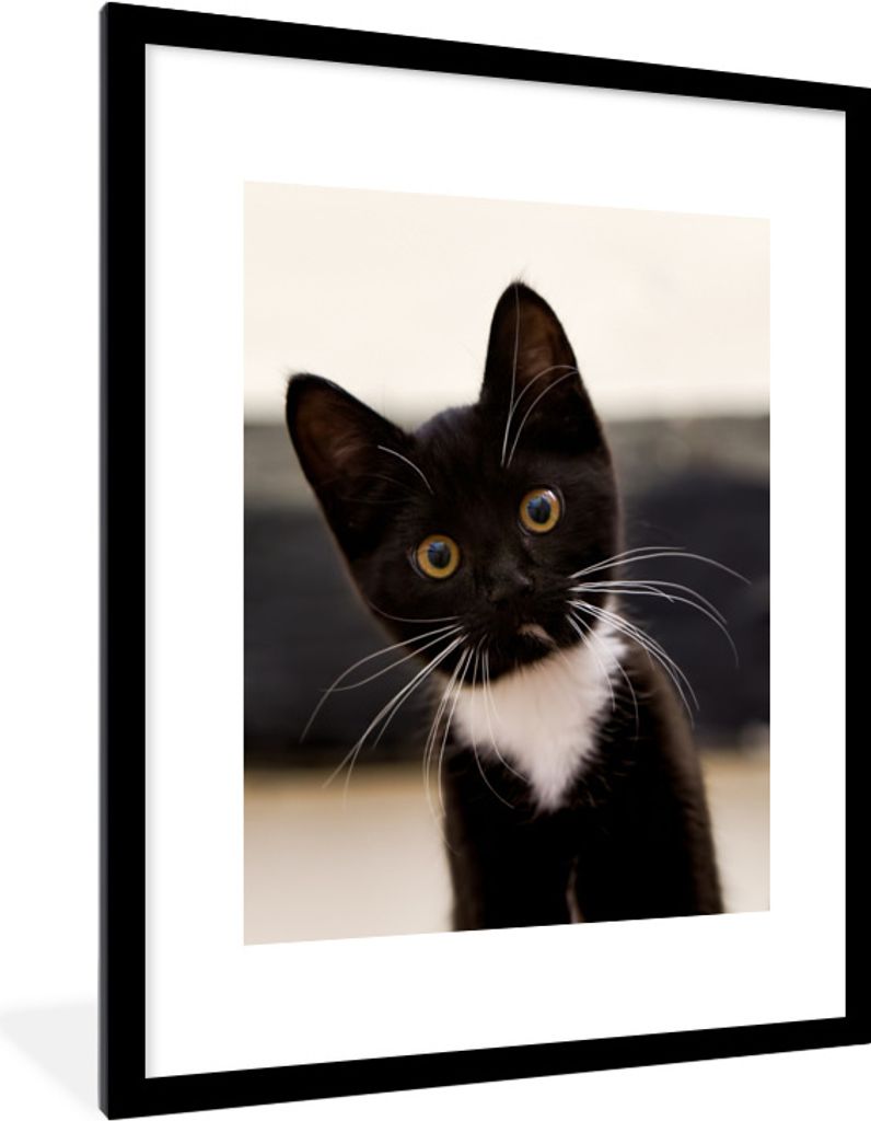 MuchoWow Gerahmtes Poster Eine Nahaufnahme eines schwarz-weißen Kätzchens 60x80 cm - Poster mit Schwarzem Bilderrahmen Wandposter Rahmen Foto B...