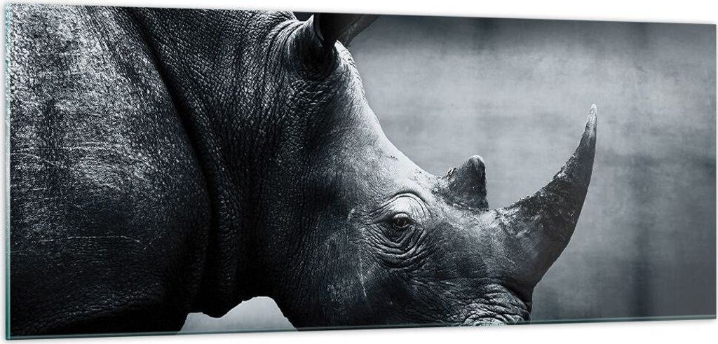 Bilder auf glas - Einteilig - Nashorn Schwarzweiß Porträt - 100x40cm - Glasbilder - Wandbilder - Bilder - Wanddekoration aus Glas - Glas Bilder -...