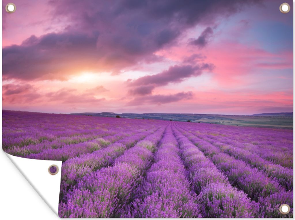 MuchoWow 80x60 cm Outdoor-Poster Gartendeko Sichtschutz Garten Poster für den Garten Lavendel - Lila - Wolken - Blumen