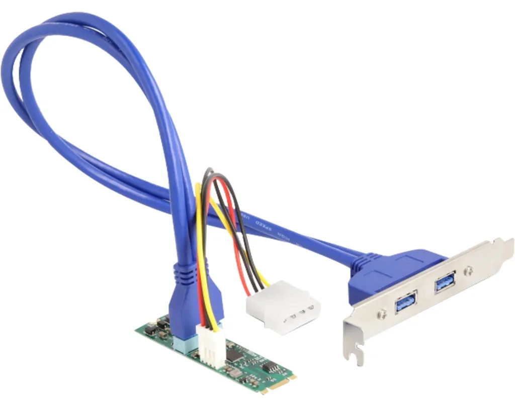 Adaptateur M.2 vers Double Port USB Interne avec Câble de 50cm pour PC Fixe