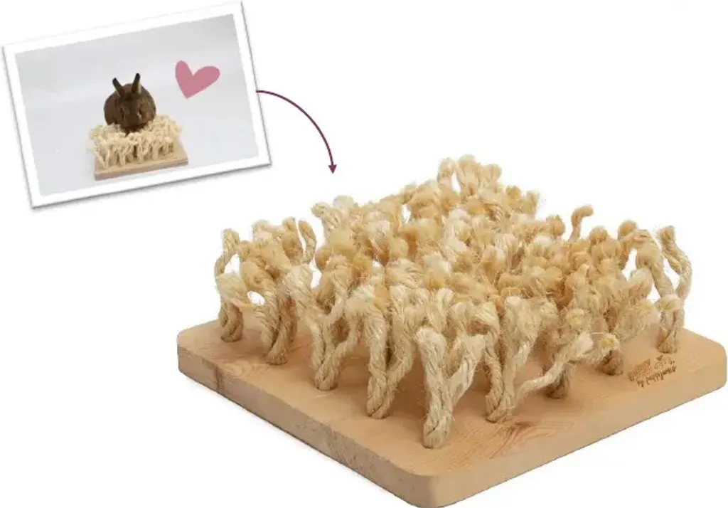 Planche à renifler Bunny : solution contre l'ennui du lapin nain - 6