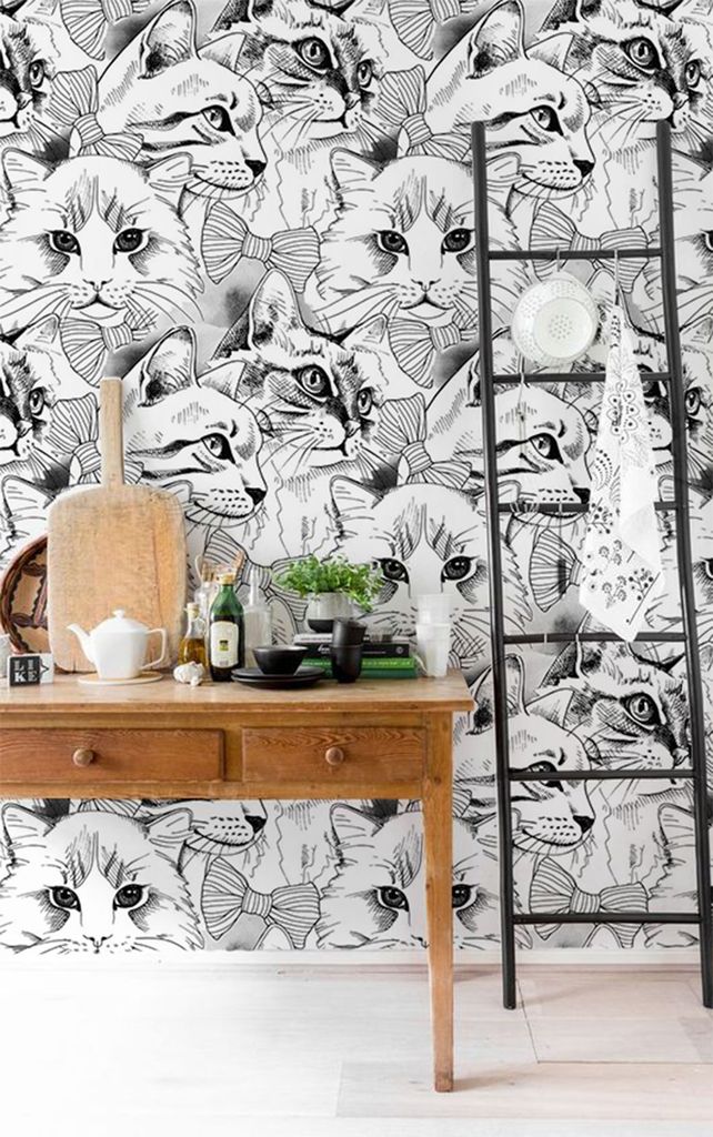 Coloray Fototapete 290x290 cm Latextapete Magicstick - Katzen Tiere inländisches Haustier