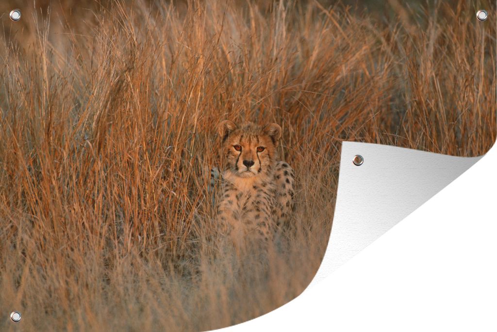 MuchoWow 120x80 cm Outdoor-Poster Gartendeko Sichtschutz Garten Poster für den Garten Gepard - Camouflage - Gras