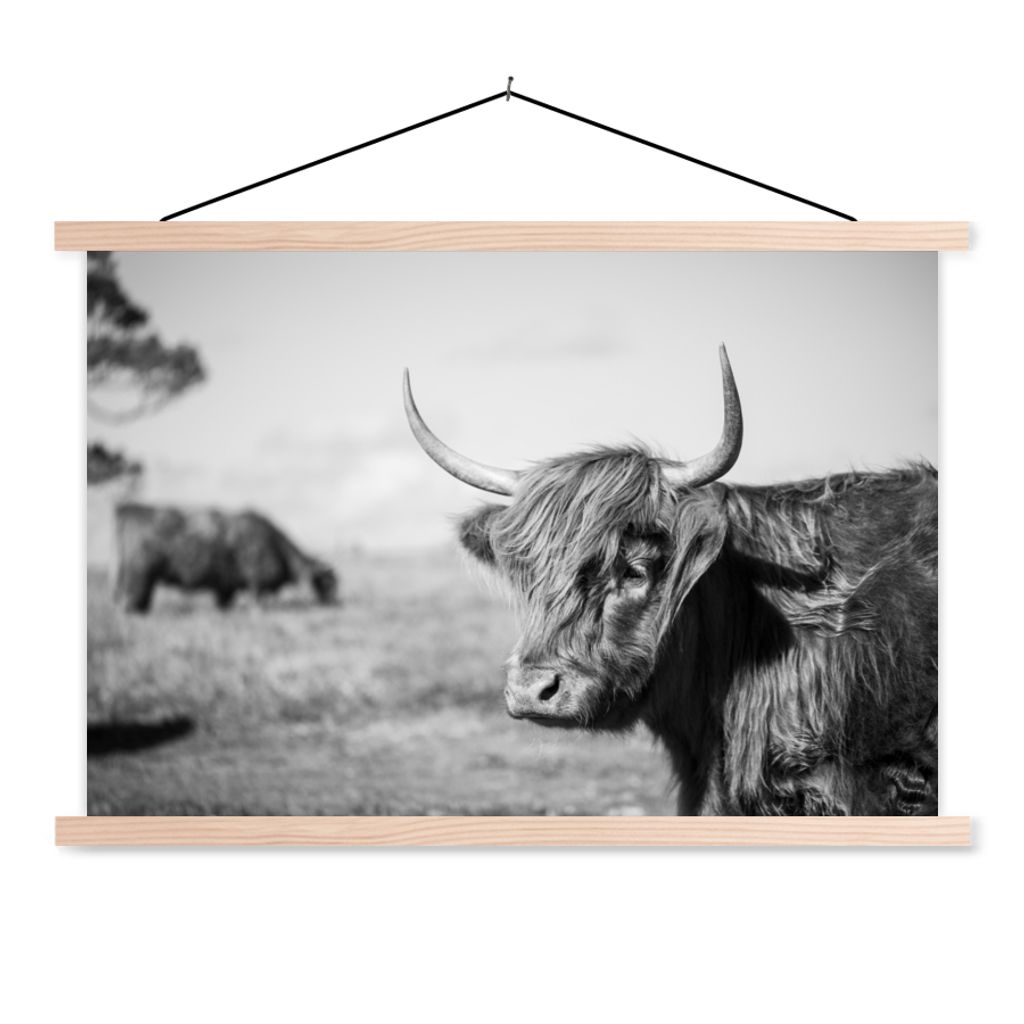 MuchoWow Textilposter Schottischer Highlander - Tiere - Schwarz - Weiß 120x80 cm mit holzfarbenen Rahmen - Aufhängeset