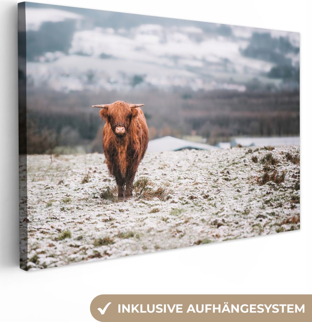 OneMillionCanvasses - Leinwandbilder - 150x100 cm, Schottisches Hochlandrind - Schnee - Himmel, Wandbilder Kunstdruck Wanddekoration