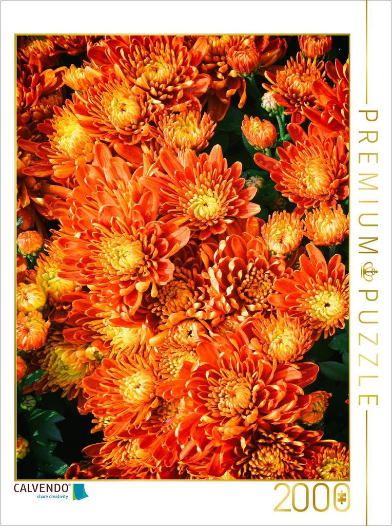 CALVENDO Puzzle Fellbacher-Wein Chrysanthemen 2000 Teile Puzzle hoch | 2000 Teile Lege-Größe 90x67cm Foto-Puzzle für glückliche Stunden