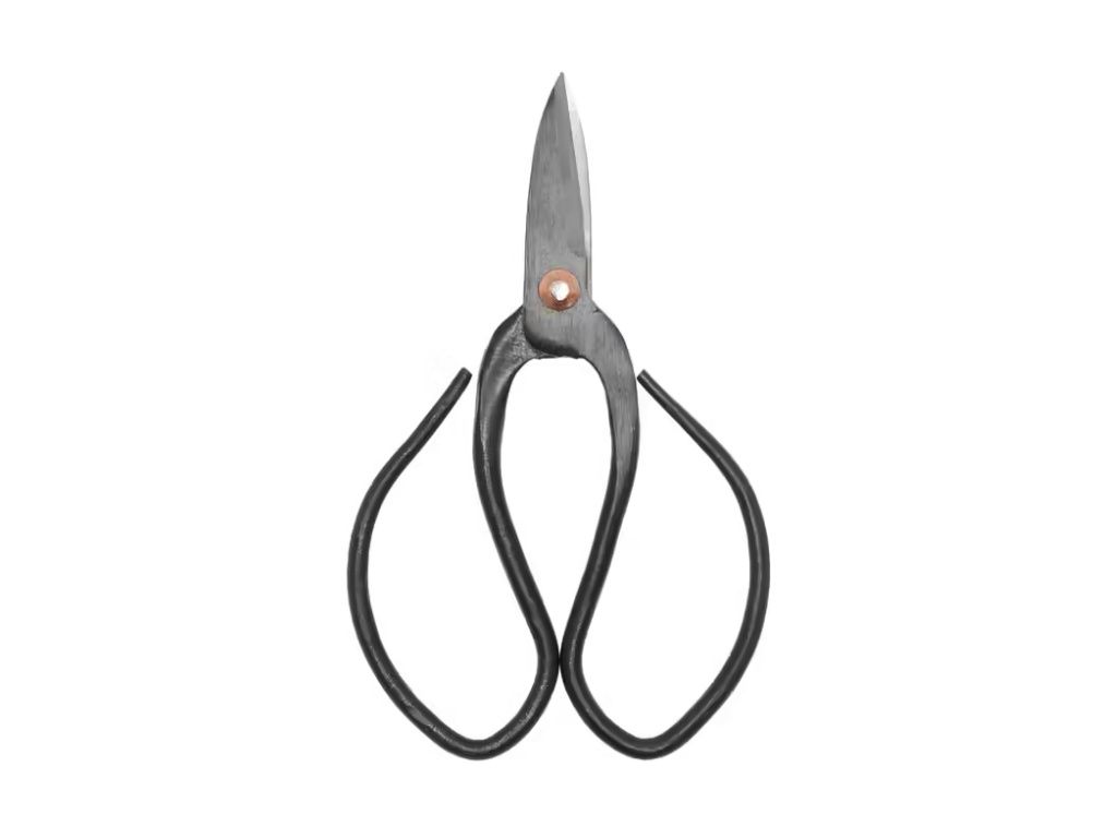 Bonsai Shears S - 12 Cm - Bonsai Tool