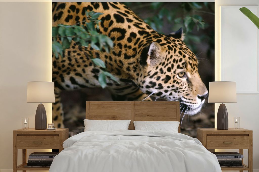 MuchoWow Fototapete für Wohnzimmer oder Schlafzimmer Wandtapete Vinyl Motivtapete Schleichender Jaguar im Wald - 280x280 cm - Hintergrundbild