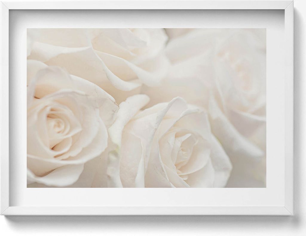 Weißes zartes anders– Wandbild mit Rahmen – Gerahmtes Bild – Wanddekoration – 70x50 cm – Weiß Rahmen