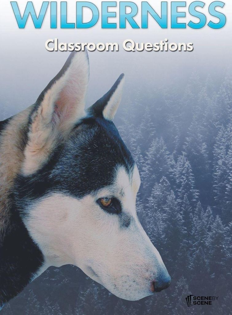 Wilderness Classroom Questions