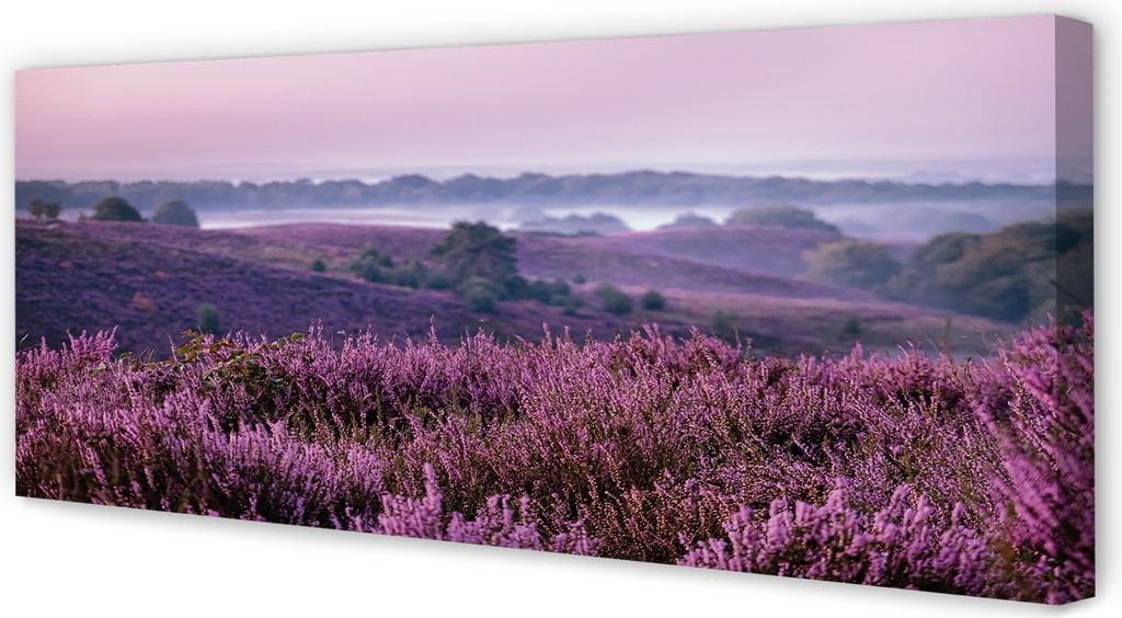 Leinwandbild 125x50 Wandkunst Feld heathers