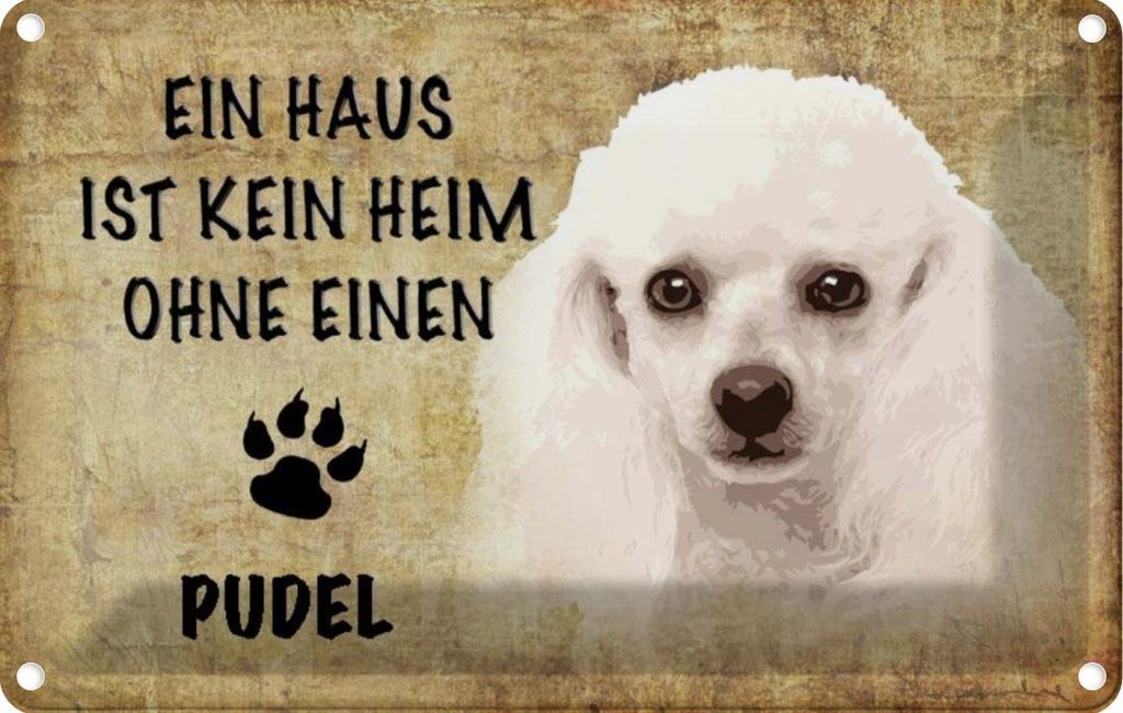 vianmo Blechschild 12x18 cm Pudel Hund Tier Haustier