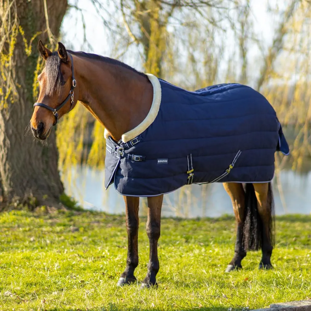 Busse Couverture d'écurie Polaris 200g - Évite le Froid et les Frottements