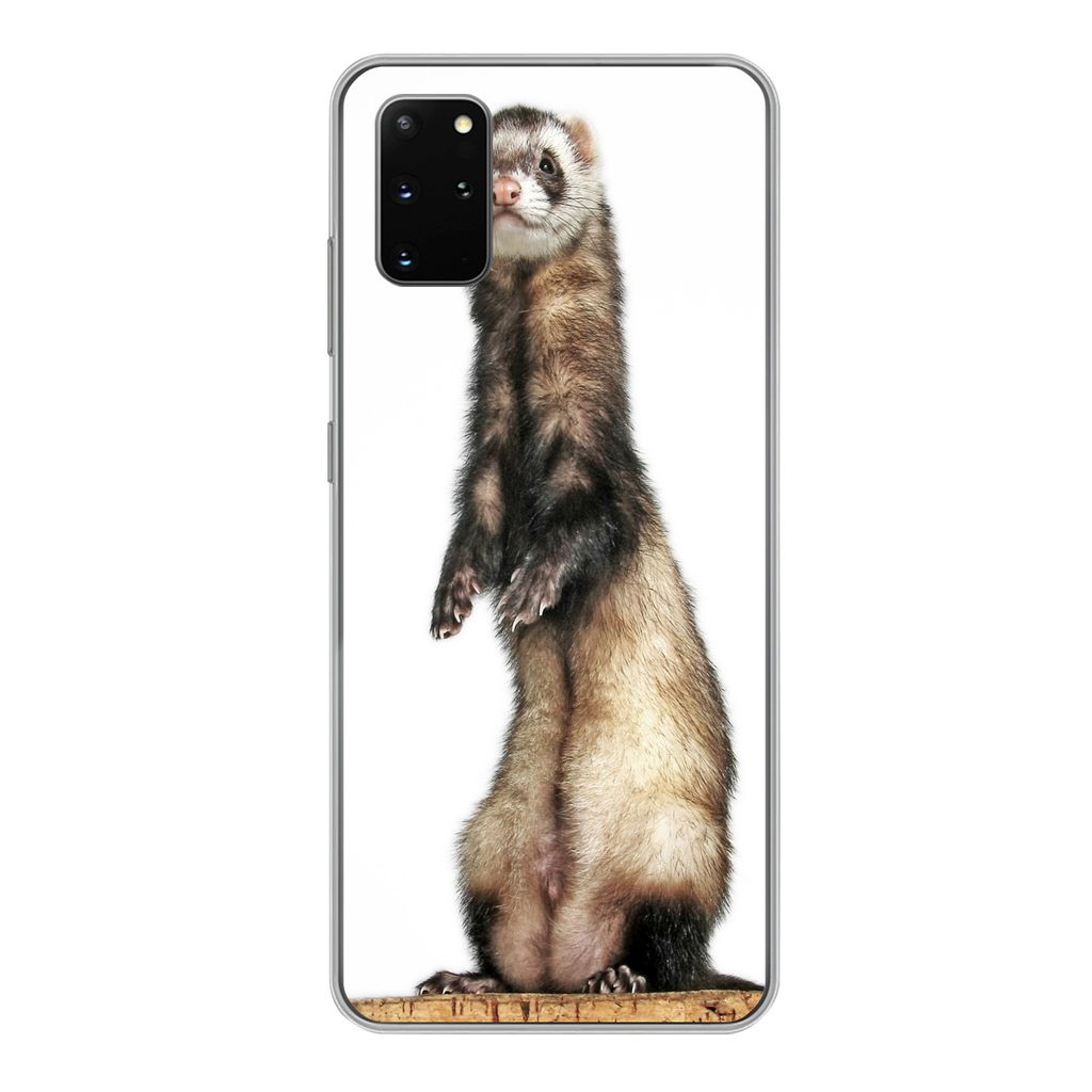 MuchoWow Handyhülle Schutzhülle Hülle für Samsung Galaxy S20 Plus Frettchen - Tiere - Fell Silikon Softcase Handy Hülle - Hartschale