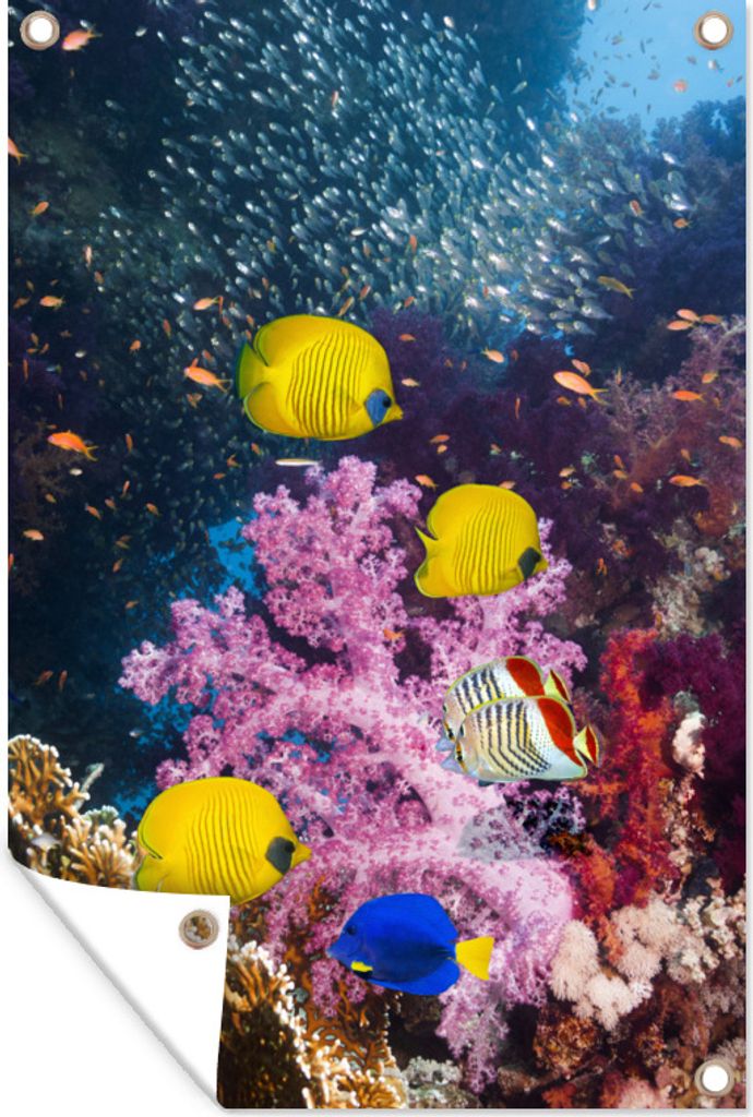 MuchoWow 40x60 cm Outdoor-Poster Gartendeko Sichtschutz Garten Poster für den Garten Koralle - Fische - Farben - Meer