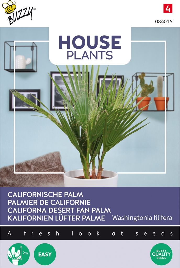 Buzzy House Plants Californian palm Samen - Ca. 1 gr | Buzzy_084015