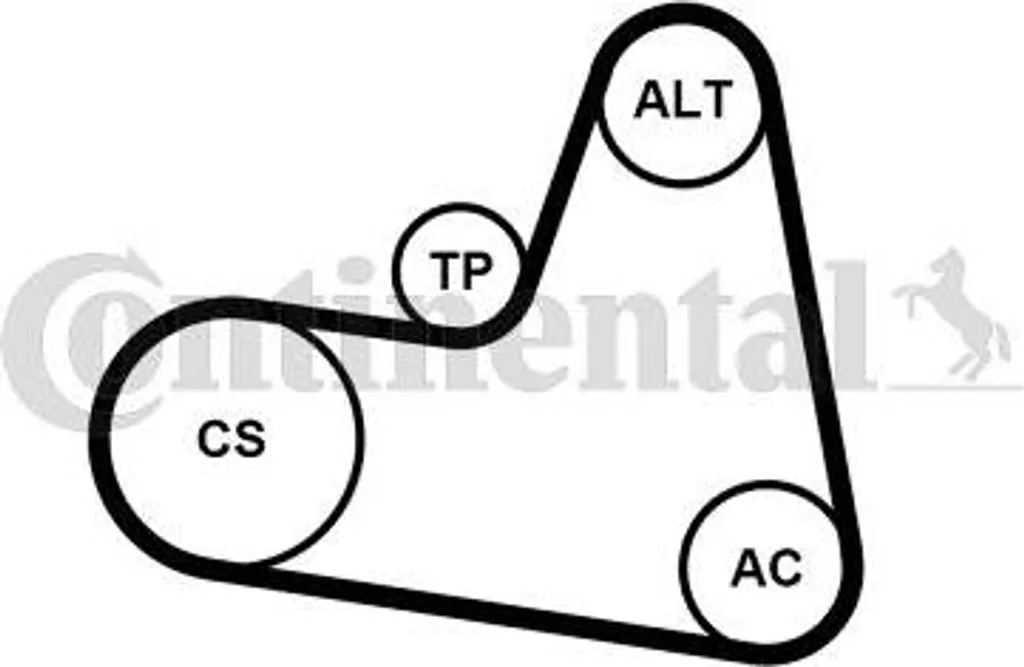 Kit courroie trapézoïdale Continental 6PK962K1 OE 2110241 pour Volvo V70