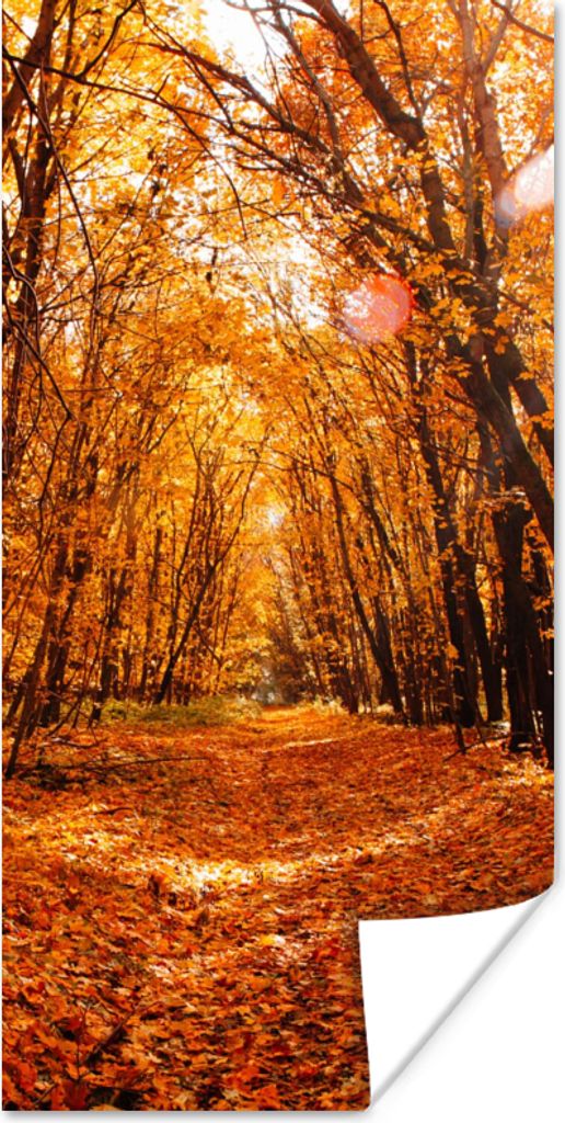MuchoWow Poster Herbst - Wald - Laub - Jahreszeiten 80x160 cm - Kinderzimmer