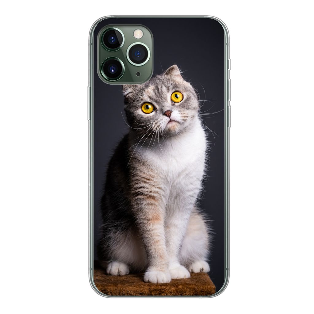 MuchoWow Handyhülle Schutzhülle Hülle für iPhone 11 Pro Katze - Augen - Licht Silikon Softcase Handy Hülle