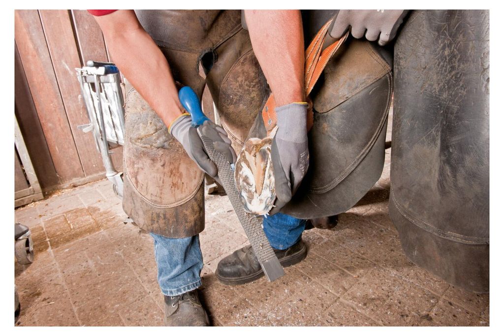 PFERD, lima para pezuñas, manual, 1 unidad Imagen del producto 