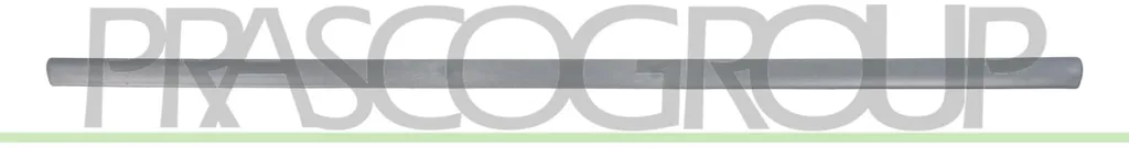Moulure de porte avant droite PRASCO pour VW POLO 9N VG0211413
