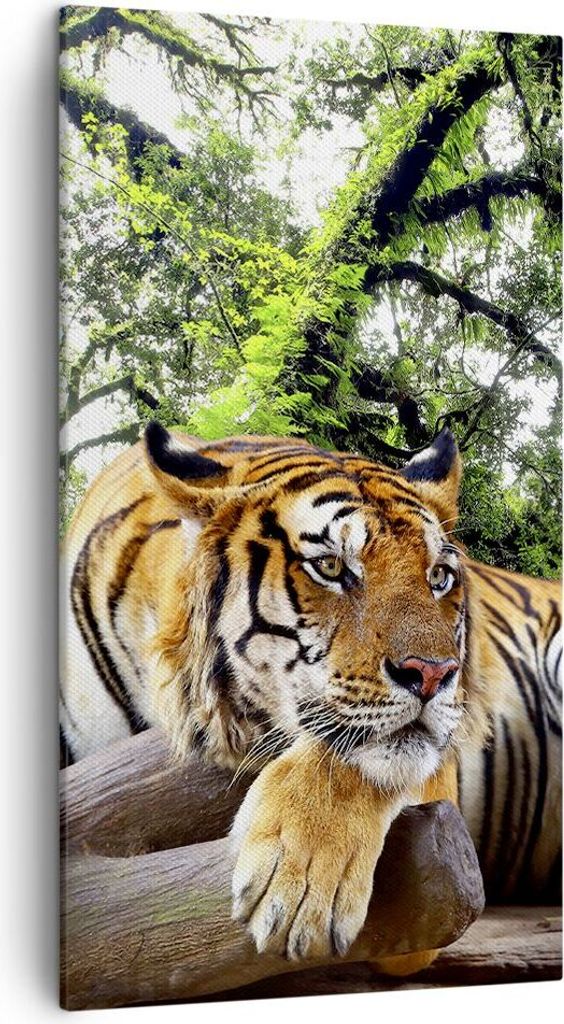 Bild auf Leinwand - Leinwandbild - Einteilig - Tiger Dschungel Ruhe - 45x80cm - Wand Bild - Wanddeko - Wandbilder - Leinwanddruck - Bilder - Wandde...