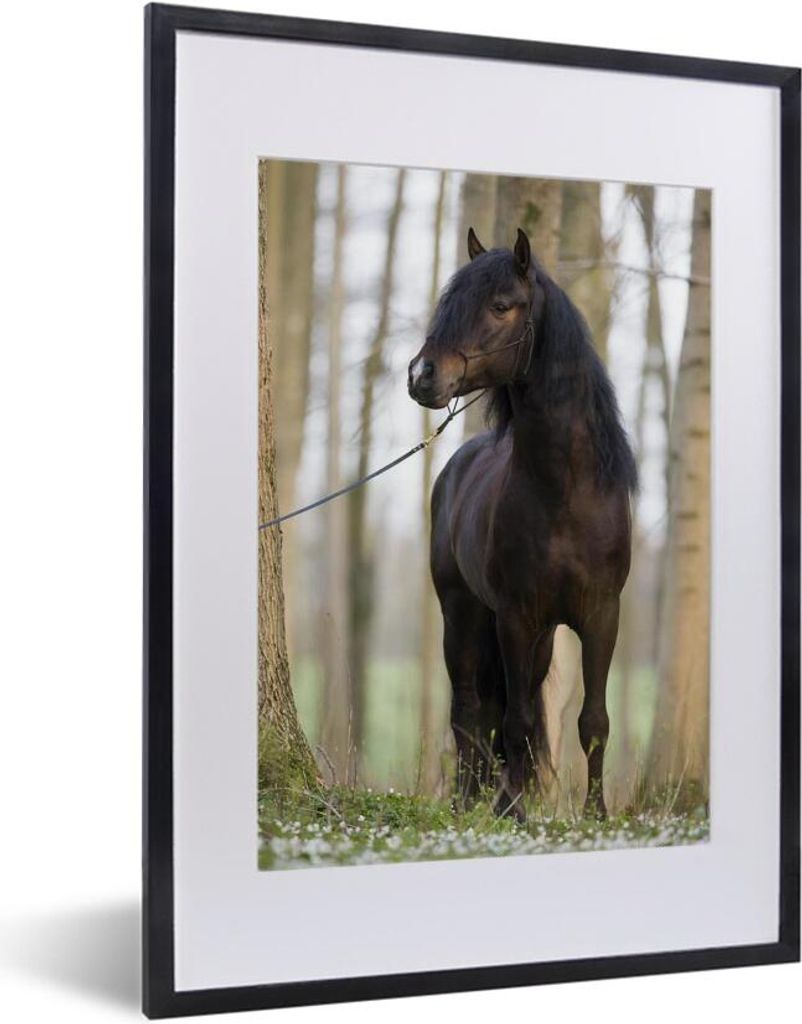MuchoWow® MuchoWow® Gerahmtes Poster Pferd - Braun - Wald Produktbild 