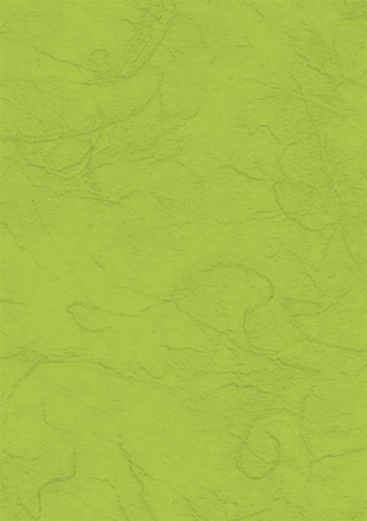 Papier de Soie de Paille Vert Mai 50x70 pour Loisirs Créatifs et DIY