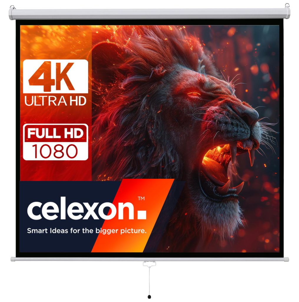 celexon basic Rollo-Leinwand 135" | 240x240 cm 1:1 | Produktbild 