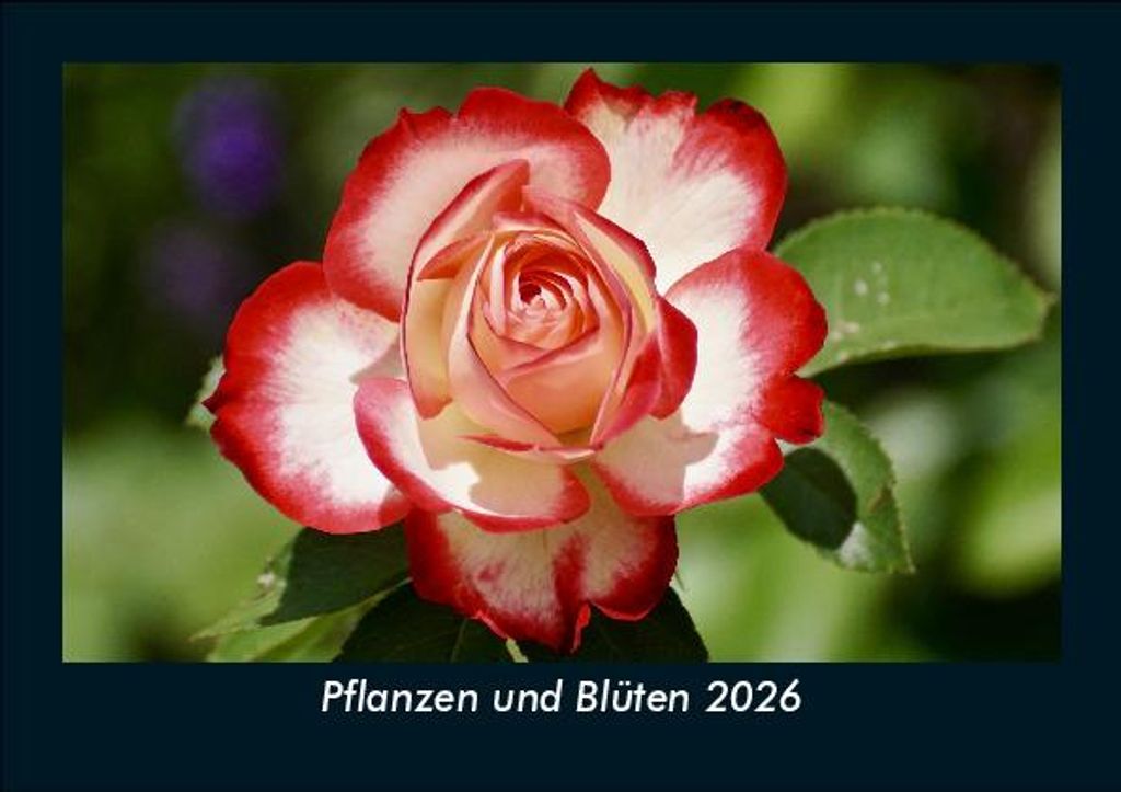 Pflanzen und Blüten 2026 Fotokalender - Querformat DIN A5, Monatskalender mit Bild-Motiven aus Fauna und Flora, Natur, Blumen und Pflanzen