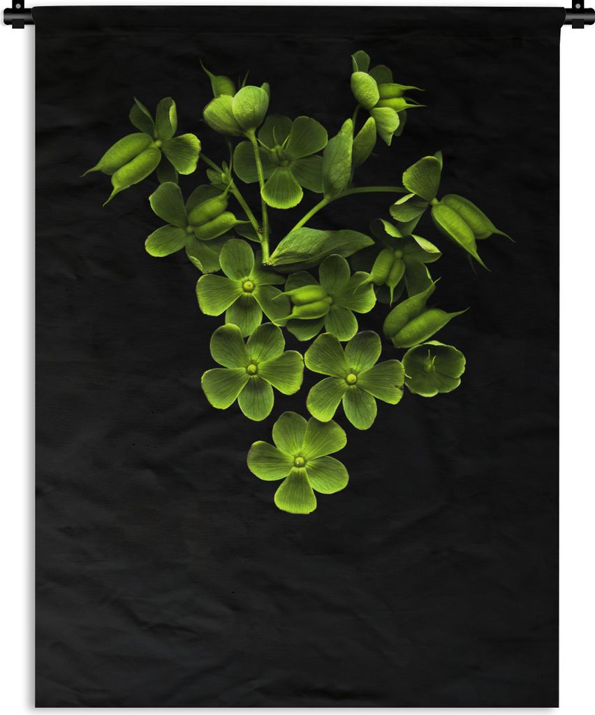 MuchoWow Wandteppich Wandbehang Das stinkende Nieskraut auf schwarzem Hintergrund 90x120 cm Tapisserie Dekoration Wandtuch - Wanddeko