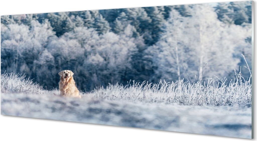 Glasbilder 125x50 Wandkunst Winter-Berghund