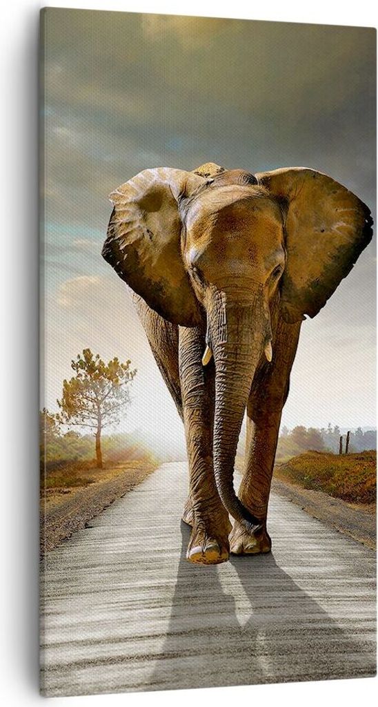 Bild auf Leinwand - Leinwandbild - Elefant Straße Landschaft - 55x100cm - Wand Bild - Wanddeko - Leinwanddruck - Bilder - Kunstdruck - Wanddekorat...