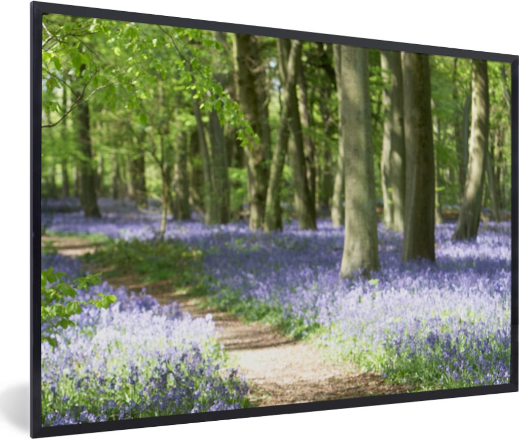 MuchoWow Gerahmtes Poster Wald - Weg - Blumen - Lila - Grün - Natur 60x40 cm - Poster mit Schwarzem Bilderrahmen Wandposter Rahmen Foto Bilder -...