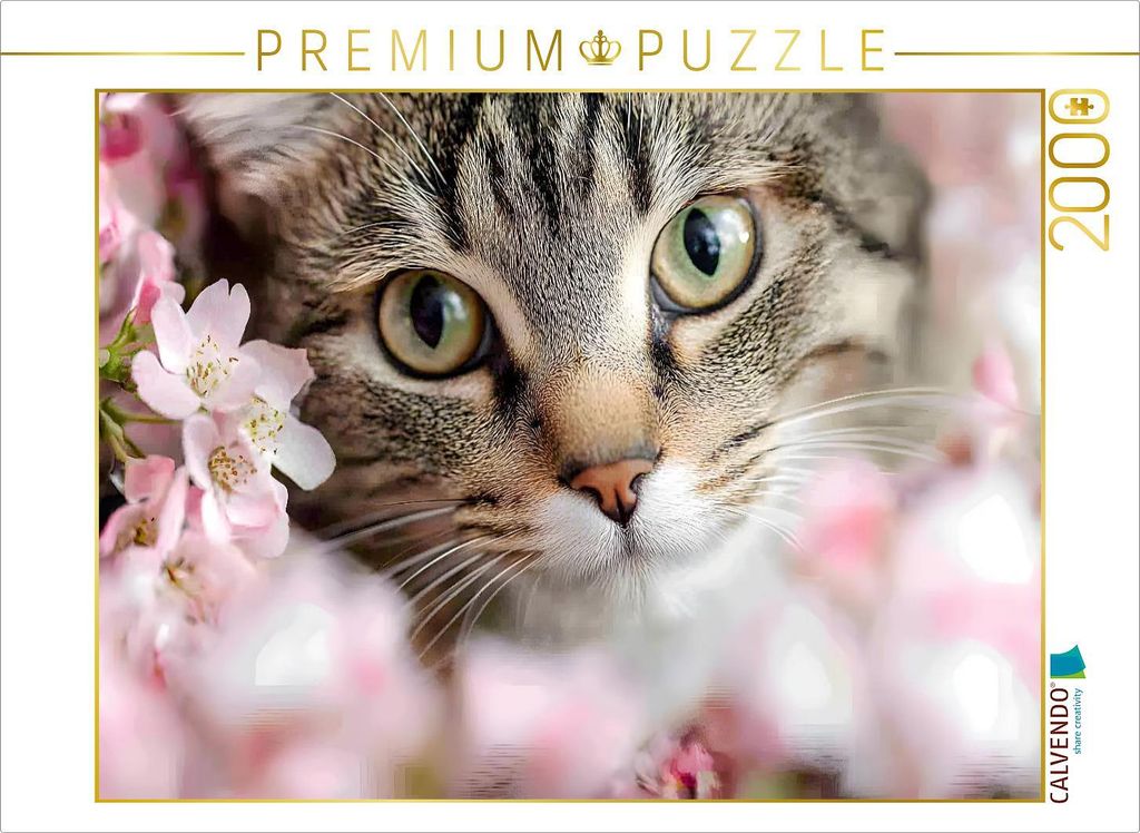 CALVENDO Puzzle Wunderschöne Tigerkatze im Frühling | 2000 Teile Lege-Größe 90x67cm Foto-Puzzle für glückliche Stunden