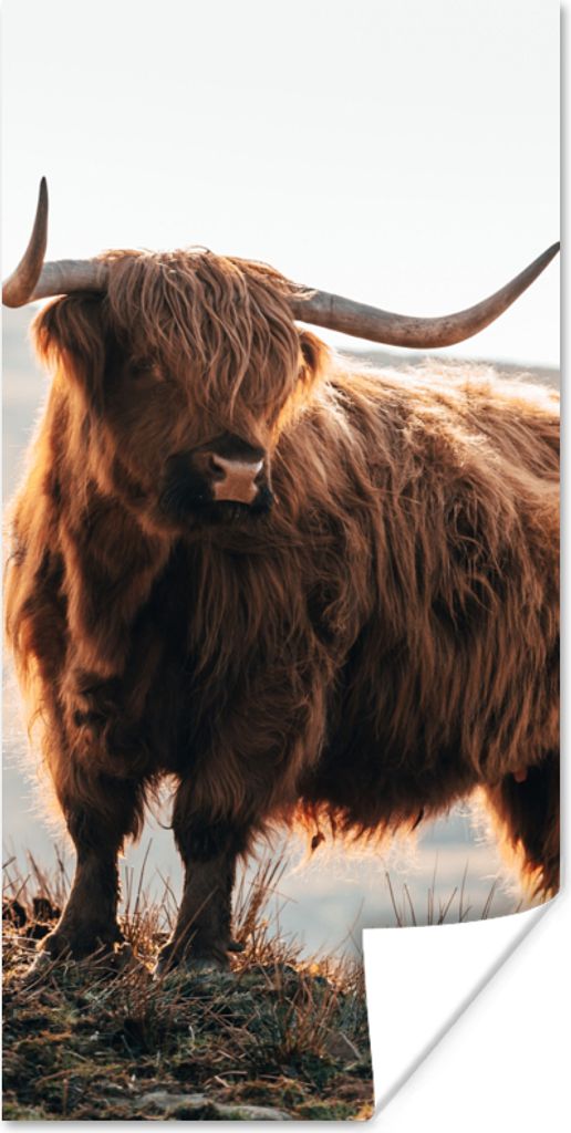 MuchoWow Poster Schottische Highlander - Tiere - Ländlich - Landschaft - Kuh - Natur 80x160 cm - Kinderzimmer