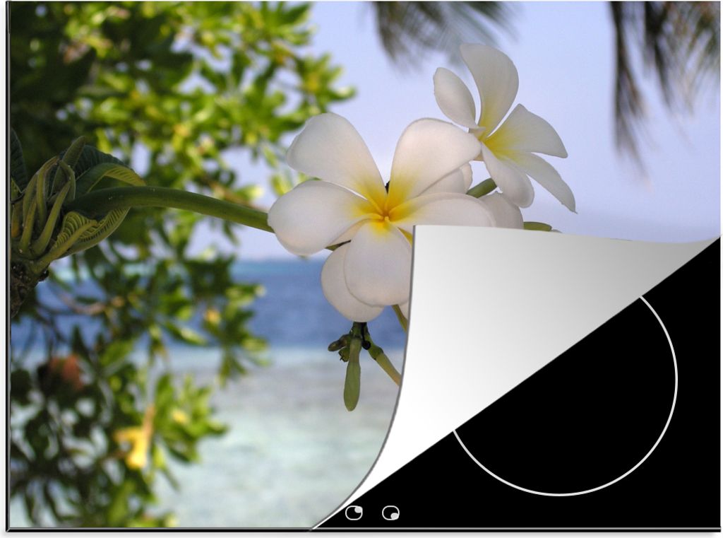 KitchenYeah Herdabdeckplatte Plumeria-Blüten in einer tropischen Gegend , 71x52cm, Küche Deko, Glaskeramikfeld Herdabdeckung, Abdeckplatte fùr...