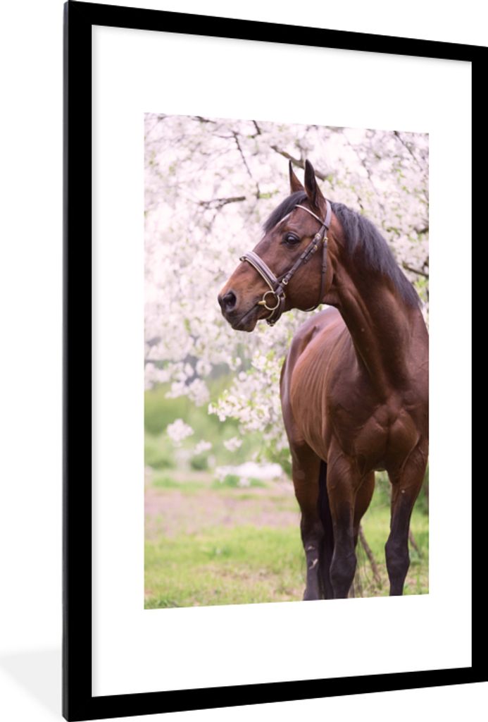 MuchoWow MuchoWow Gerahmtes Poster Pferd - Sakura - Halfter 60x90 cm - Poster mit zchwarzem Bilderrahmen - Dekoration - Wandposter Wohnzimmer -...