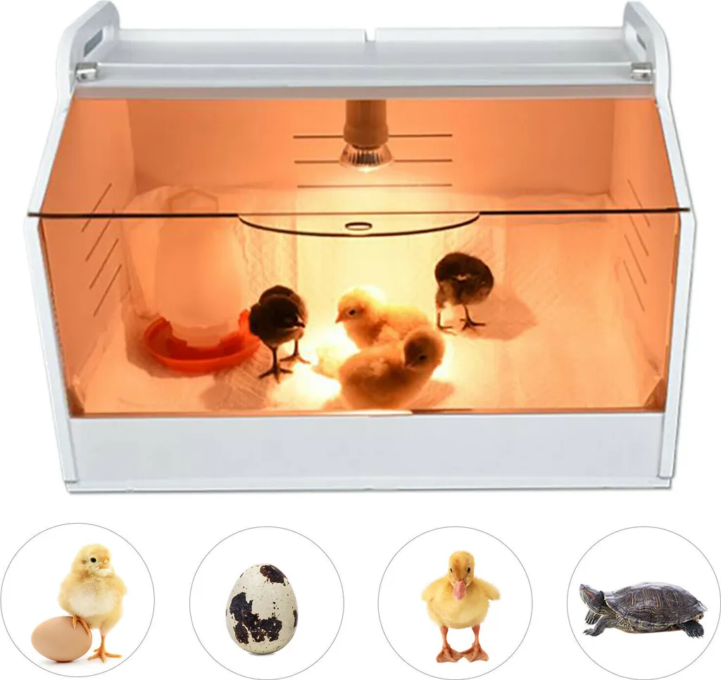 Couveuse Incubateur Automatique avec Lampe et Thermomètre pour Poussins