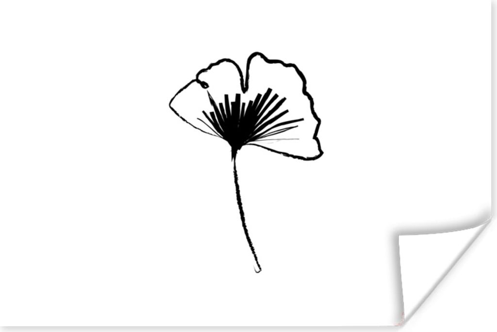 MuchoWow Poster Strichzeichnungen - Blumen - Schwarz - Weiß 30x20 cm - Plakate - Print