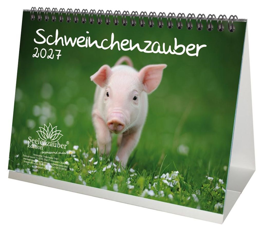 Schweinchenzauber DIN A5 Tischkalender für 2027 Schweine Produktbild 