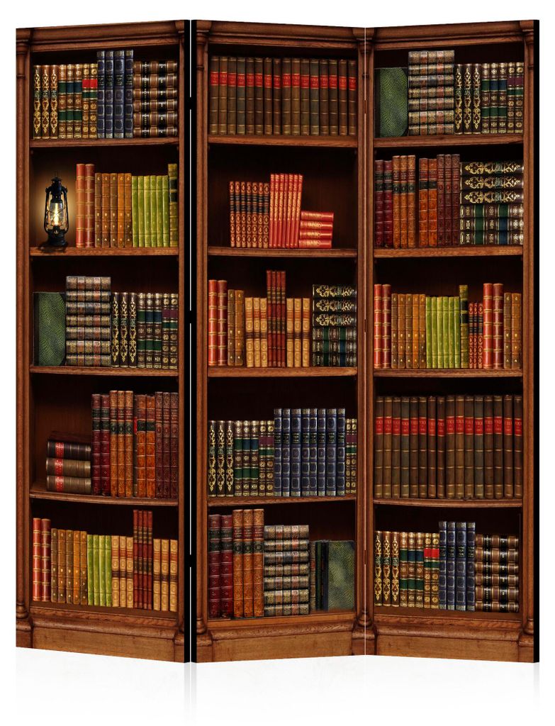 LUMASOUL Paravent einseitig, Paravent Raumteiler fur Innen, Motiv Retro Bibliothek, 135x172 cm