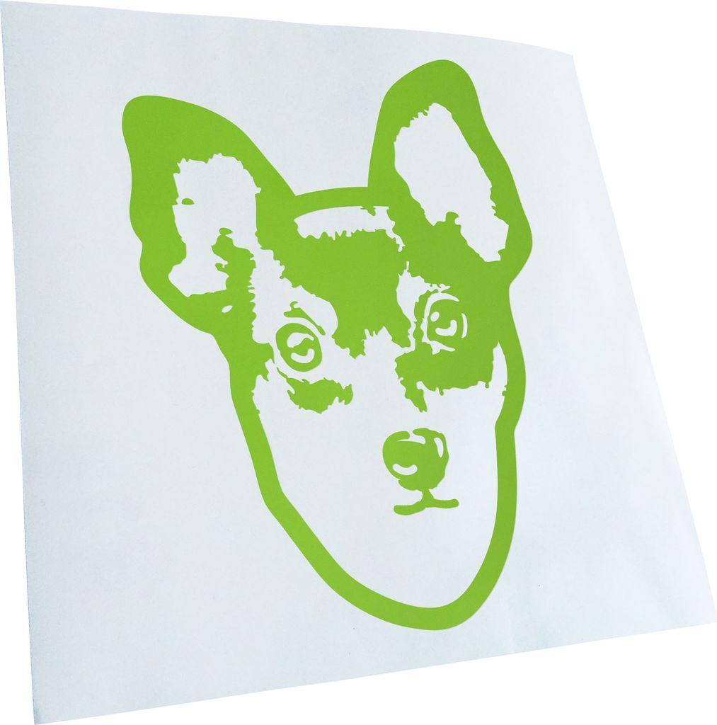 Kiwistar - Autoaufkleber - Toy fox terrier Hund - Lichtblau - 14x10cm - Aufkleber für Auto, Laptop, Fahrrad, LKW, Motorrad mehrfarbig JDM Decal Ra...