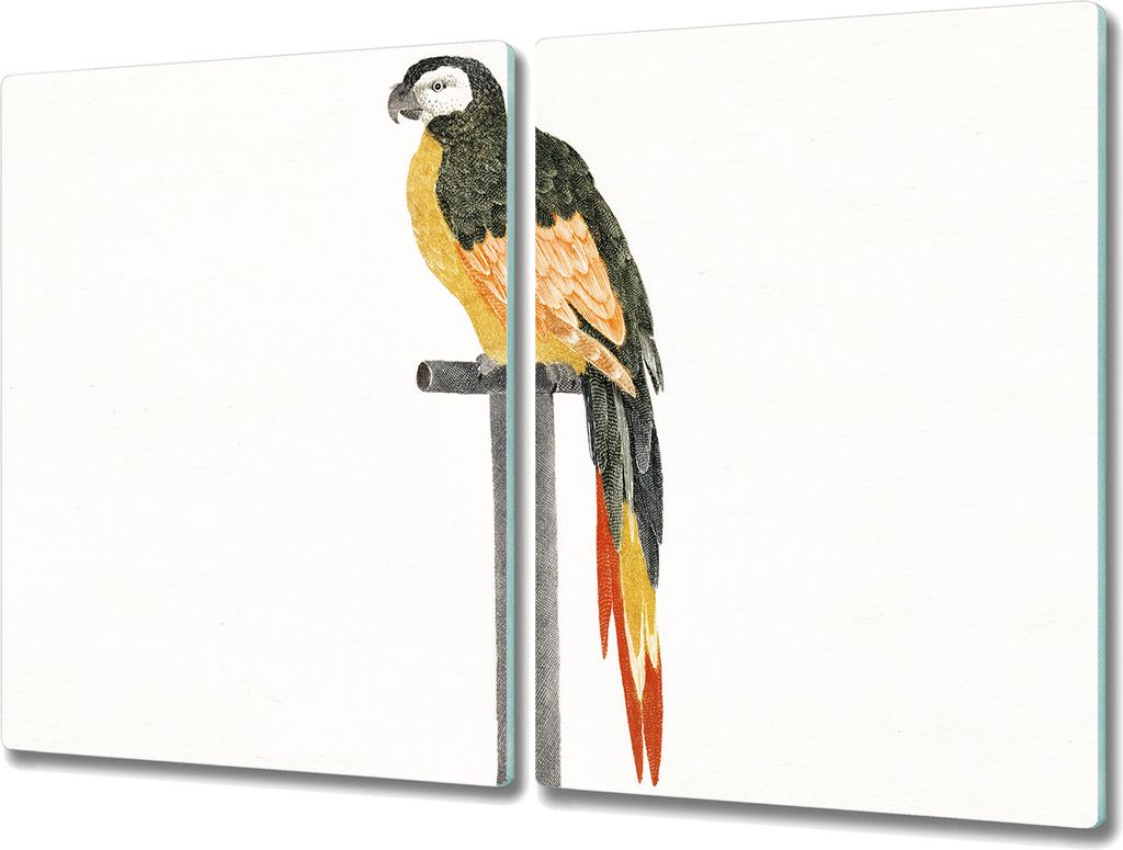 Coloray Hackbrett Kochplattenabdeckung Herdabdeckplatte 2x40x52 cm Schneidebrett Küchenbrett - Pet Vogel Papagei