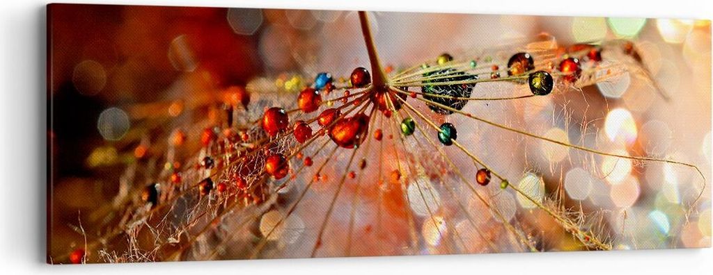 Bild auf Leinwand - Leinwandbild - Spinnennetz modern - 90x30cm - Wand Bild - Wanddeko - Wandbilder - Leinwanddruck - Bilder - Kunstdruck - Wanddek...