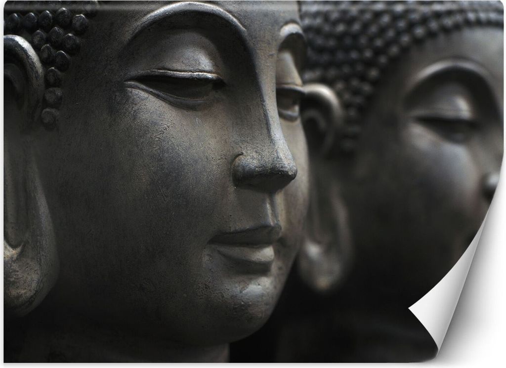 Vlies fototapete Meditierender Buddha 300x210 cm Feeby Grau inkl. Kleber einfache Montage