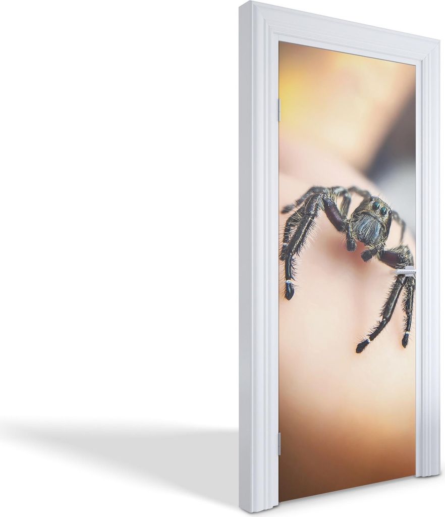 Selbstklebende Türfolien Kreativ Türtapeten Wandsticker - Springspinne - 75 x 205 cm