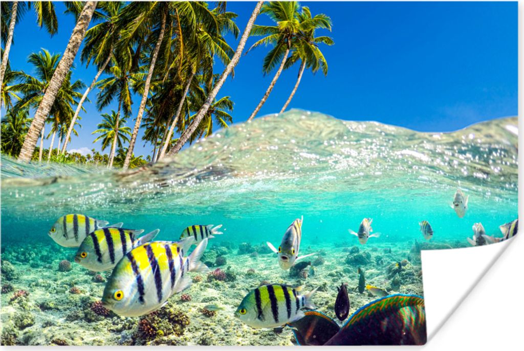 MuchoWow Poster Strand - Fische - Farben 120x80 cm - Bilder