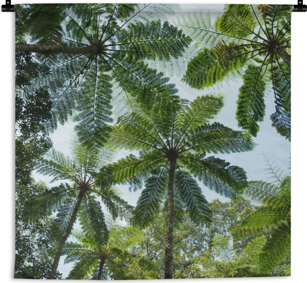 MuchoWow Wandteppich Wandbehang Bäume und Blätter im Dschungel 120x120 cm Tapisserie Dekoration Wandtuch - Modern - Baumwollgewebe