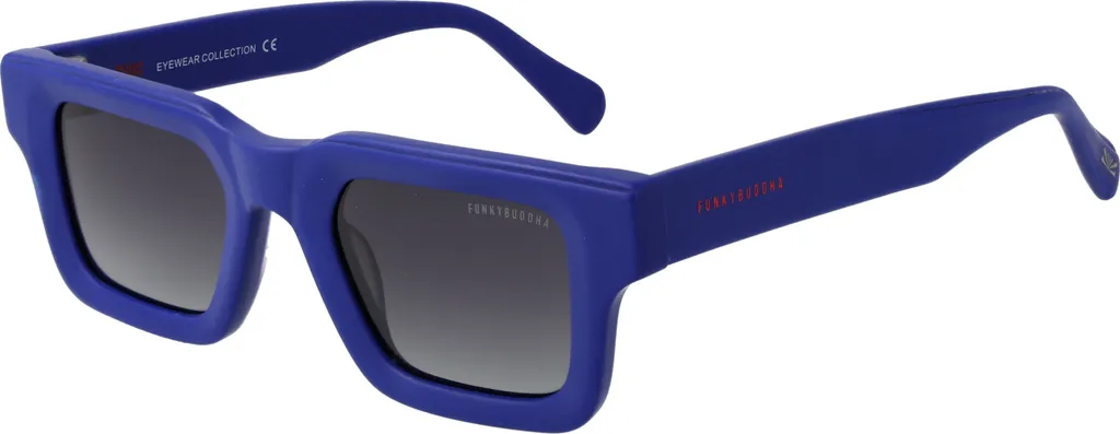Lunettes de soleil pour terrasse Funky Buddha FBS2041 001 48 urbain
